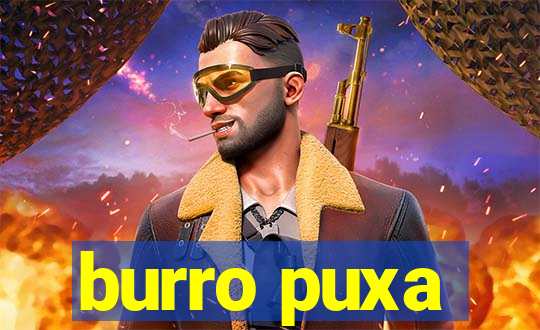 burro puxa